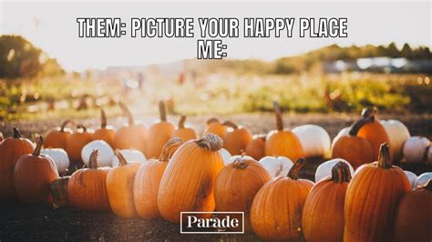 39 Best Fall Memes For A Laugh Parade