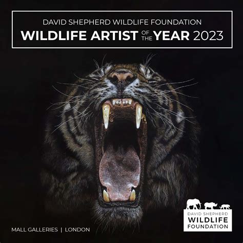Wildlife Artist Of The Year 2023 Winners Announced David Shepherd