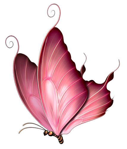 Thousands of new butterfly png image resources you can explore in this category and download free butterfly png transparent images for your design flashlight. Pink Butterfly PNG Image | PNG Mart