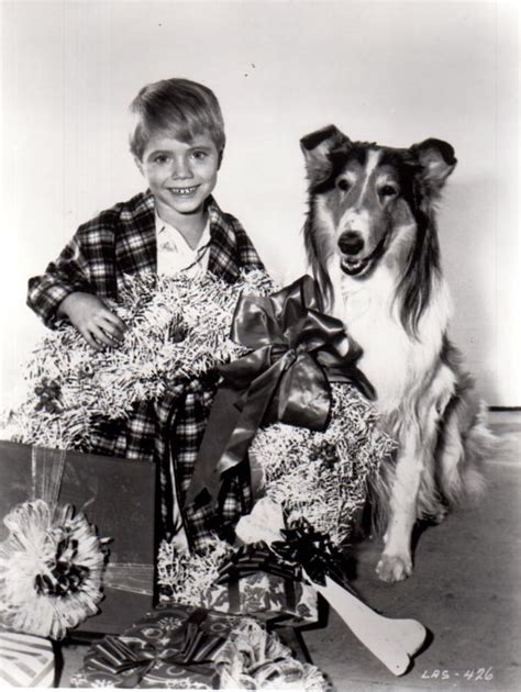 Lassie Photo Gallery 03