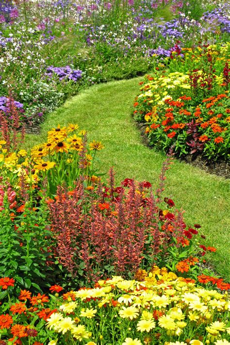 Backyard Wildflower Garden Design