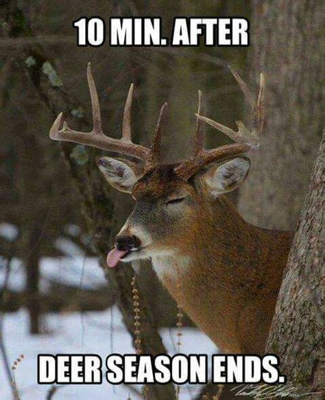 15 Funny Deer Quotes Ideas Funny Deer Hunting Humor Hunting Memes