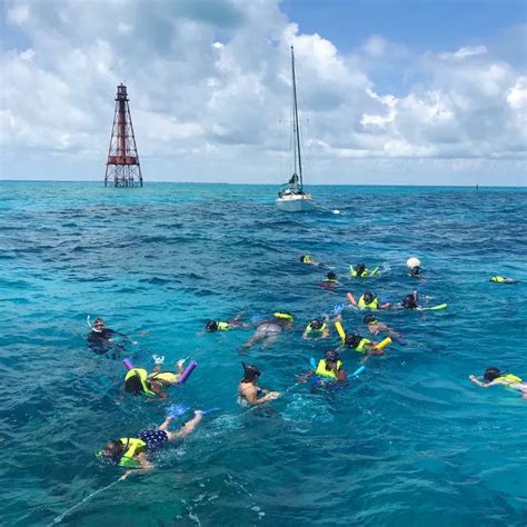 Come Snorkel With Us On The Florida Keys Gorgeous Reefs We Have Some