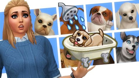 Sims 4 7 Puppy Challenge 2 Bath Time Youtube