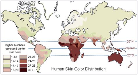 Global Skin Colour Distribution Of Native Populations The Colours On