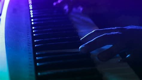 Closeup Man Pianist Hands Play Electric Stock Footage Sbv 316202288