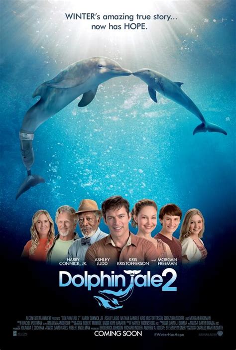 Dolphin Tale 2 Hollywood Winters Amazing True Story © Bom Digital