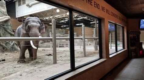 Feb 2017 Asia Quest Indoor Elephant Exhibit Zoochat