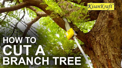 How To Cut A Tall Tree Branch With Pole Pruner Kisank Doovi