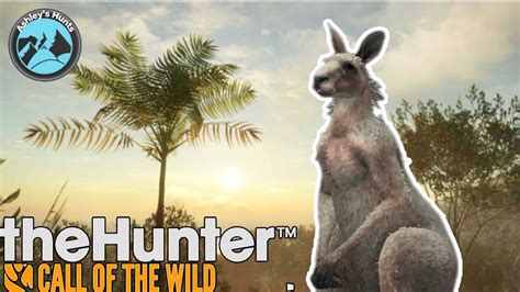 Kangaroo Guide And Hotspot Map The Hunter Call Of The Wild Youtube