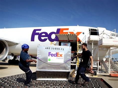 Are you frustrated with customer support and looking for someone from a higher authority to resolve your issue? MEC&F Expert Engineers : A female FedEx employee died at ...