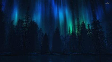 Forest Lake Lights Outdoors Artwork Dark Blue Wallpapers Hd