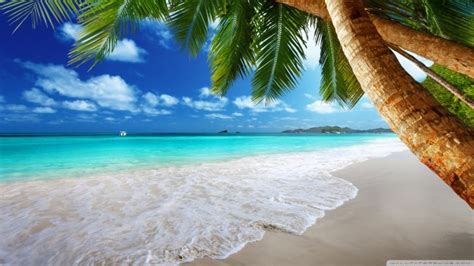 Tropical Paradise Hdwallpaperup Tropical Beach Paradise X
