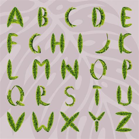 Premium Vector Alphabet Made From Palm Leaves