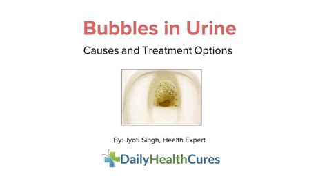 Bubbles In Urine 9 Possible Causes And Treatment Options Youtube