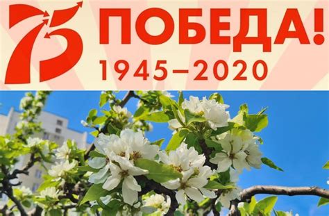 Поздравления с днем победы 9 мая ветеранам в прозе официальное. Поздравление руководителя Росгидромета Игоря Шумакова с 75 ...