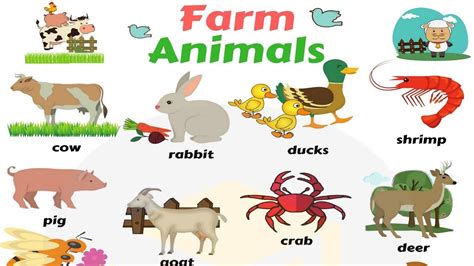Farm And Domestic Animals Vocabulary Learn Farm Animal Names Farm