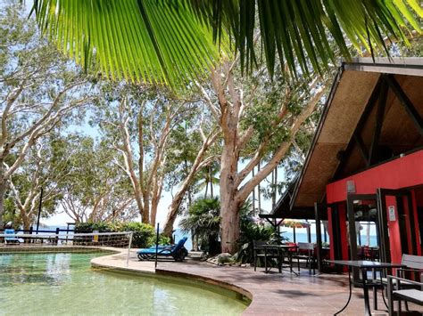 Turtle Cove Beach Resort Adults Only Lgbtqia Allies Australia