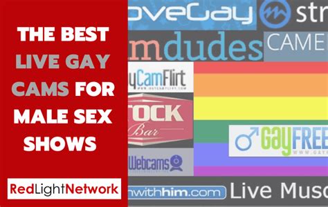 17 best gay cam sites live gay webcams and male sex shows