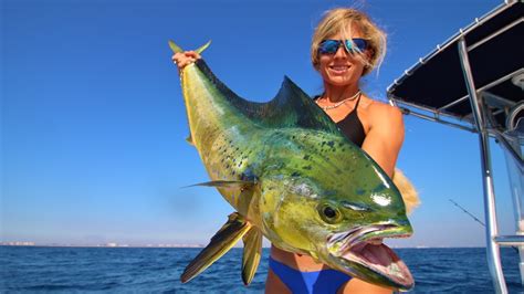 Florida Offshore Fishing Big Mahi Youtube