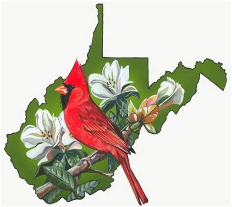 Items Similar To West Virginia State Bird And Flower On Etsy