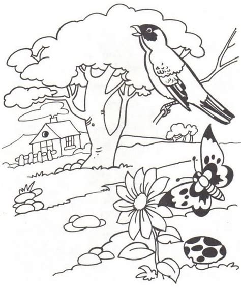 Paisaje natural para colorear, pintar e imprimir