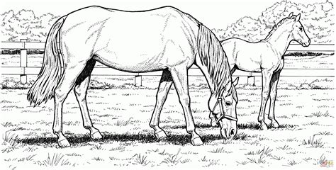 Our printable sheets or pictures may be used only for your personal. Free Printable Horse Coloring Pages For Adults - Coloring Home