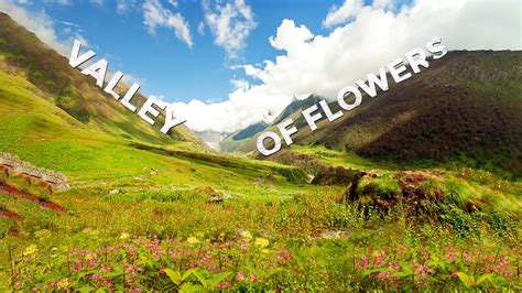 Valley Of Flowers Trek Valley Of Flowers National Park And World