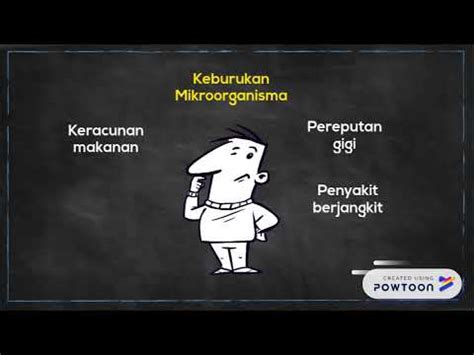 Dan janganlah mencari keburukan orang dan janganlah mempergunjingkan satu sama lain. Kebaikan dan keburukan Mikroorganisma - YouTube