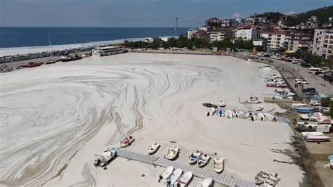 Mucilage, also known as sea snot, is the overgrowth of microscopic algae called phytoplankton. Sea snot lingers off Turkish coast despite cleaning ...