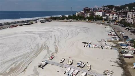 Sea snot near the maltepe, kadiköy and adalar districts of istanbul. Sea snot lingers off Turkish coast despite cleaning ...