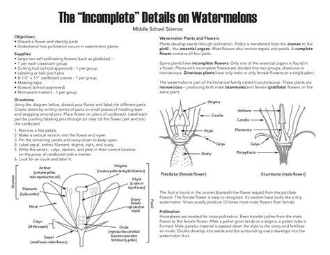 Watermelon Flower Diagram