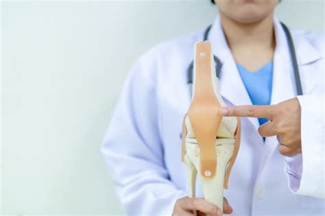 Premium Photo Professional Doctor Pointed On Area Of Model Knee Joint