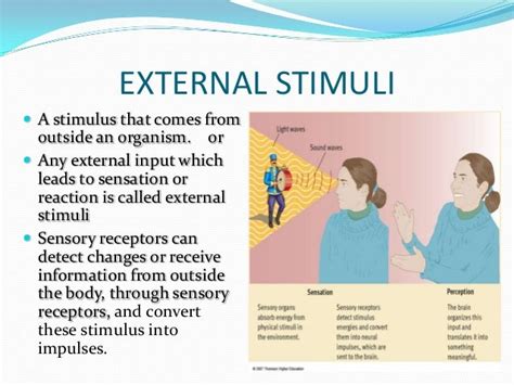 External Stimuli Final Presentation By Zahid Bhatti