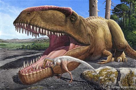 Giganotosaurus War Größer Als T Rex Aber Immer Noch In Seinem Schatten