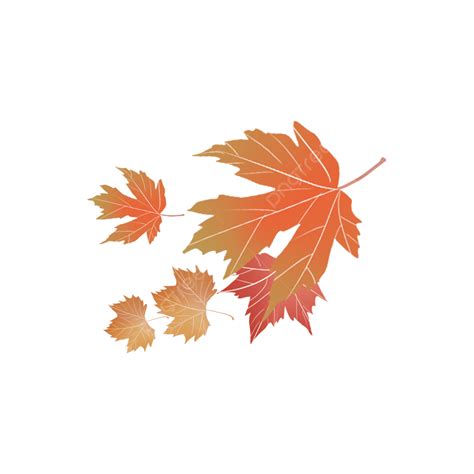 Leaf Material Hd Transparent Autumn Hand Painted Illustration Leaf