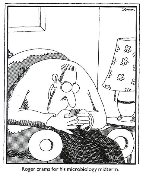 Far Side Comic Strip Sherdog Forums Ufc Mma And Boxing