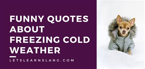 100 Funny Quotes About Freezing Weather Will Get You Prepared Lets