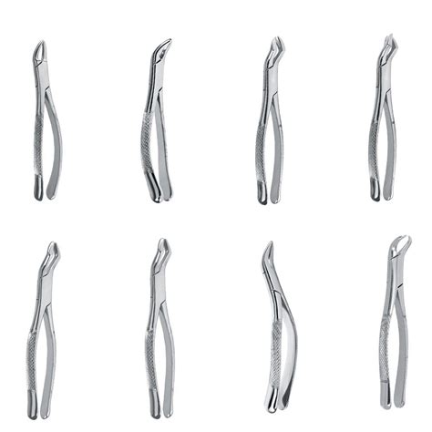 Buy Gdc American Extraction Forceps Online Best Price