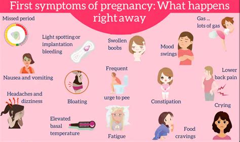Pregnancy Symptoms Week 3 While Breastfeeding Pregnancy Sympthom