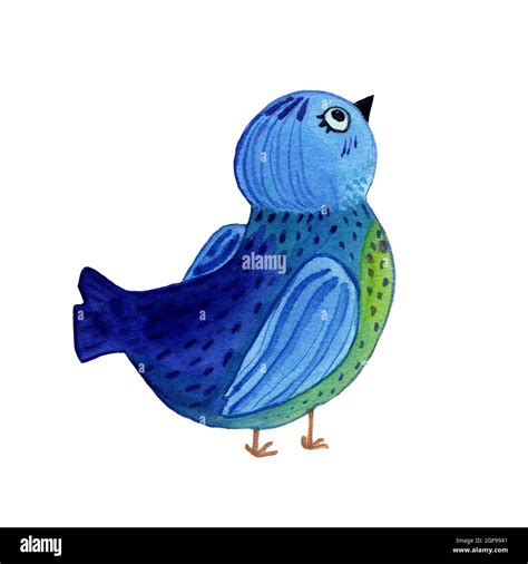 Watercolor Hand Drawn Illustration Of Blue Robin Bird Isolated On White