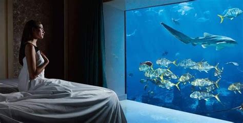 Mind Blowing Underwater Hotel Room 😱 The Atlantis Hotel Dubai Uae 🇦🇪