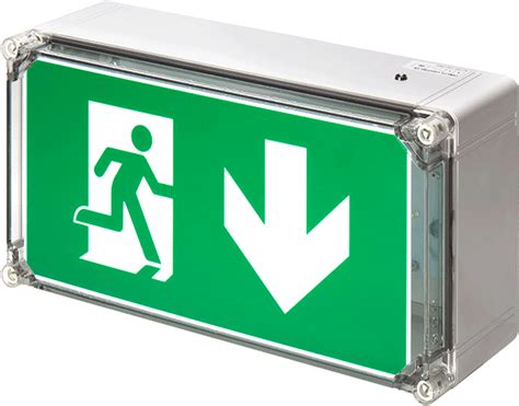 Download Wp Exit Box Weatherproof Emergency Exit Box Product