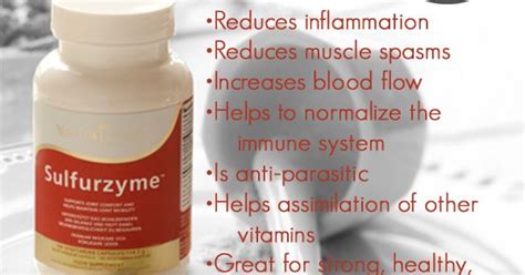 Benefits Of Msm Sulfurzyme From Youngliving Supplements Pinterest Young Living Oil And