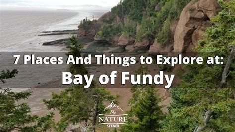 7 Best Things To Do In Bay Of Fundy For Your First Visit