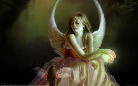 Angel Girl Elf Wings Wallpaper 1680x1050 Resolution Wallpaper