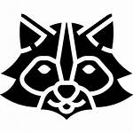 Icon Racoon Icons