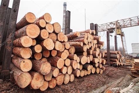 Wood Sawmill Log Stock Photo By Lobodaphoto 102085040
