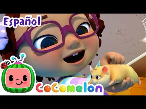 CoComelon LAS MASCOTAS Canciones Infantiles en Español Latino
