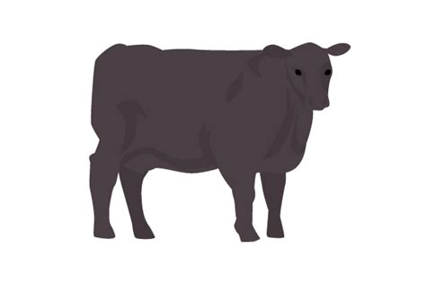 Angus Cow Svg Cut File By Creative Fabrica Crafts